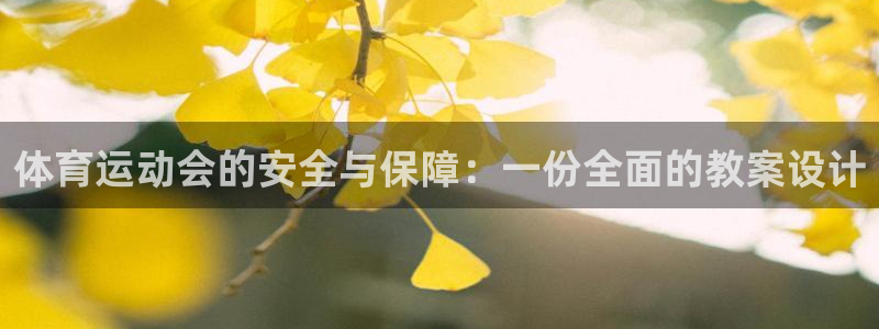 体育运动会的安全与保障：一份全面的教案设计