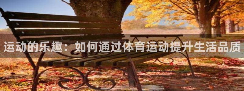 运动的乐趣：如何通过体育运动提升生活品质