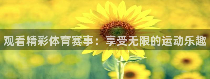 观看精彩体育赛事：享受无限的运动乐趣